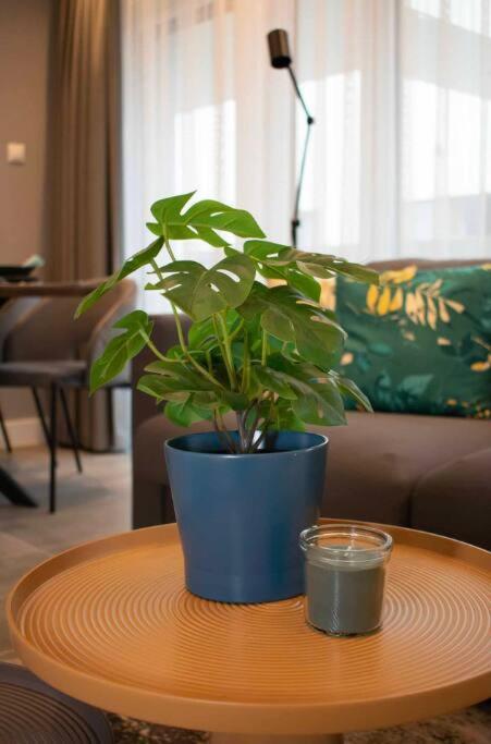 Luxury Cozy 2 Bdr Downtown Apt.2 Budapest Exterior photo